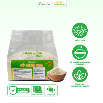 Nếp Cái Hoa Vàng (Nếp Bắc) - Dẻo mềm, thơm ngon đặc trưng - Túi 1Kg